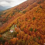 Solar Da Castanha - Forest House