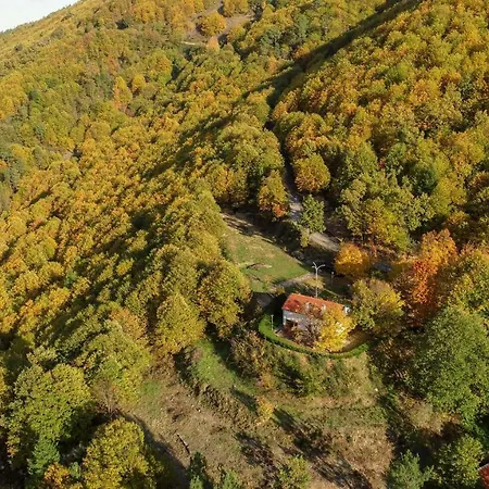 Solar Da Castanha - Forest House *