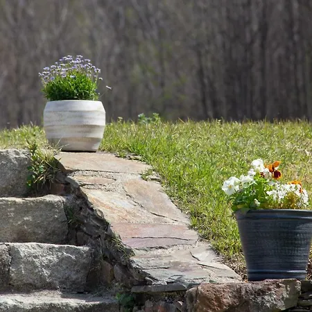 Solar Da Castanha - Forest House