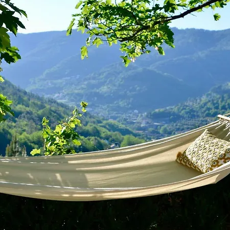 Country house Solar Da Castanha - Forest House
