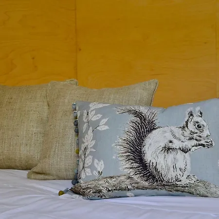 Landsted Solar Da Castanha - Forest House Manteigas