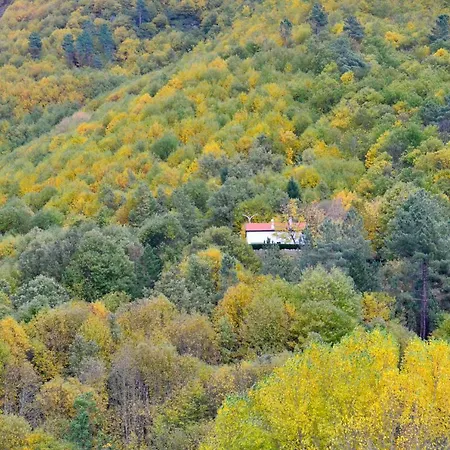 Solar Da Castanha - Forest House *