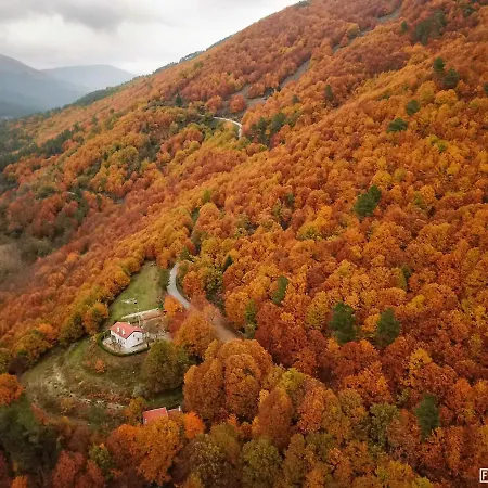 Solar Da Castanha - Forest House