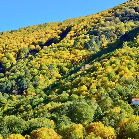 Solar Da Castanha - Forest House Séjour à la campagne