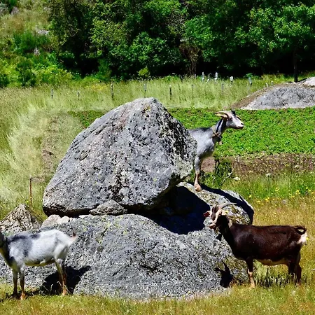 Solar Da Castanha - Forest House * Manteigas