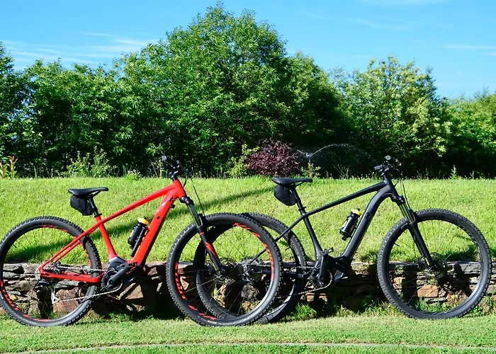 Solar Da Castanha - Forest House מנטגאס