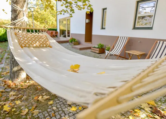 Solar Da Castanha - Forest House * מנטגאס