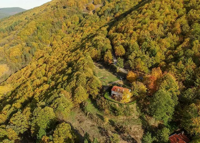 Solar Da Castanha - Forest House *