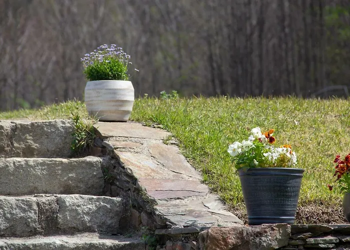 Solar Da Castanha - Forest House