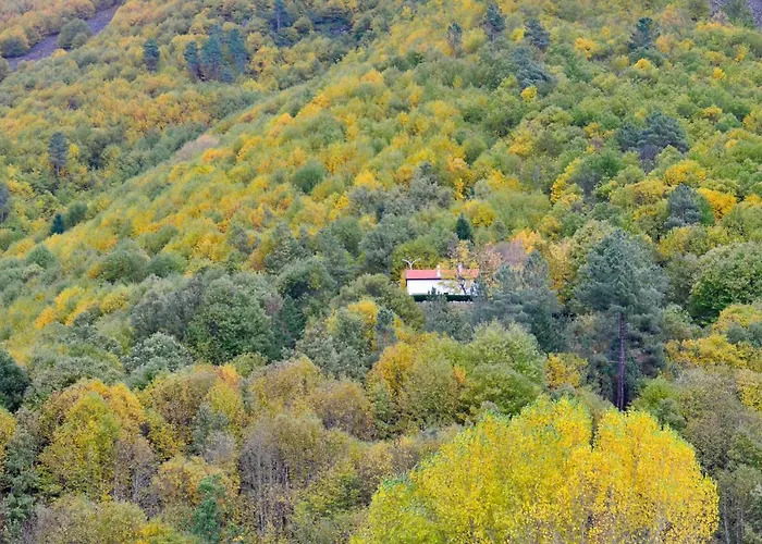 Solar Da Castanha - Forest House *