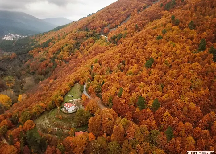 Solar Da Castanha - Forest House